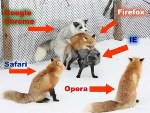 top_internet_browsers_fox.jpg