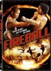 Fireball-2009.jpg